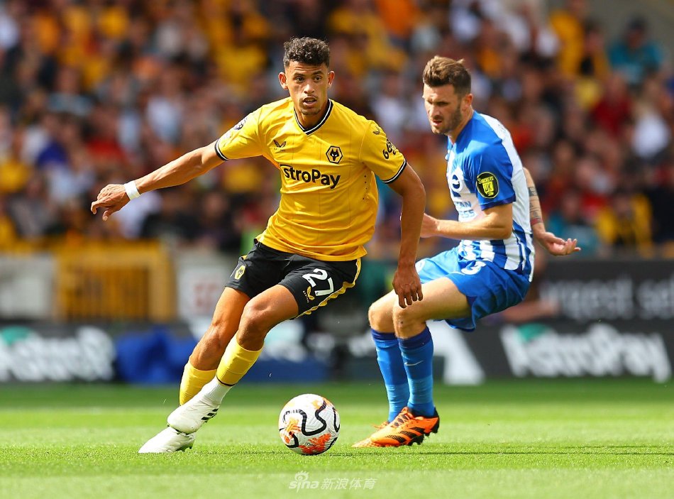 转会市场的 转会市场的