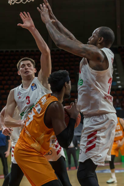 游泳世界杯 游泳世界杯